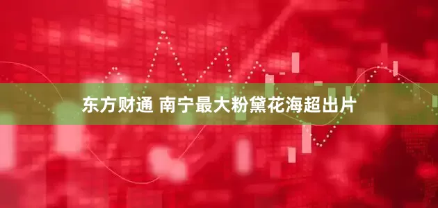 东方财通 南宁最大粉黛花海超出片